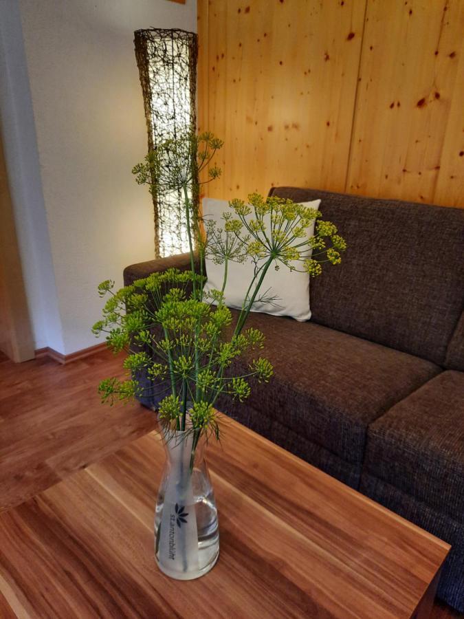 Haus Untergand Apartment Sankt Anton am Arlberg Luaran gambar