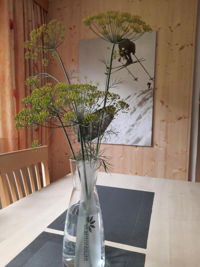 Haus Untergand Apartment Sankt Anton am Arlberg Luaran gambar